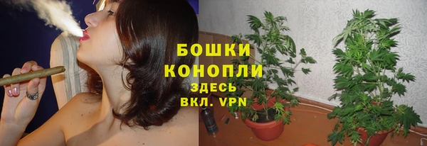 COCAINE Покачи