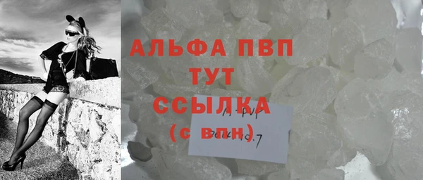 дживик Переславль-Залесский