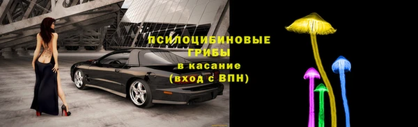 ECSTASY Покров