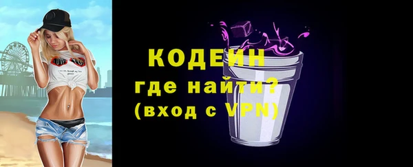 ECSTASY Покров