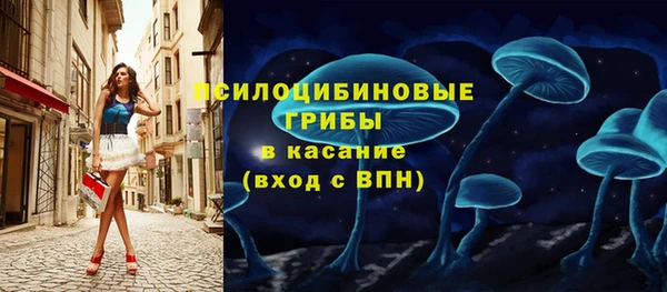 PSILOCYBIN Пестово