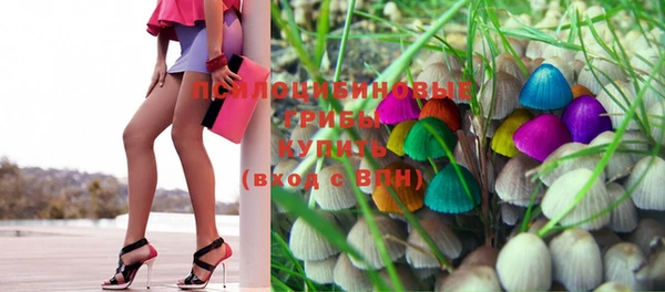 PSILOCYBIN Пестово