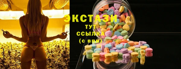 дживик Переславль-Залесский