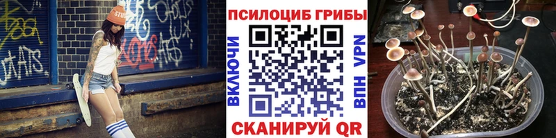Псилоцибиновые грибы мухоморы  цена наркотик  Старица 